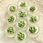 Succulent & Cactus Soy Wax Candle in Glass Jar