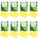 Scent-Sational Organic Soy Wax Melts