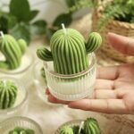 Succulent & Cactus Soy Wax Candle in Glass Jar